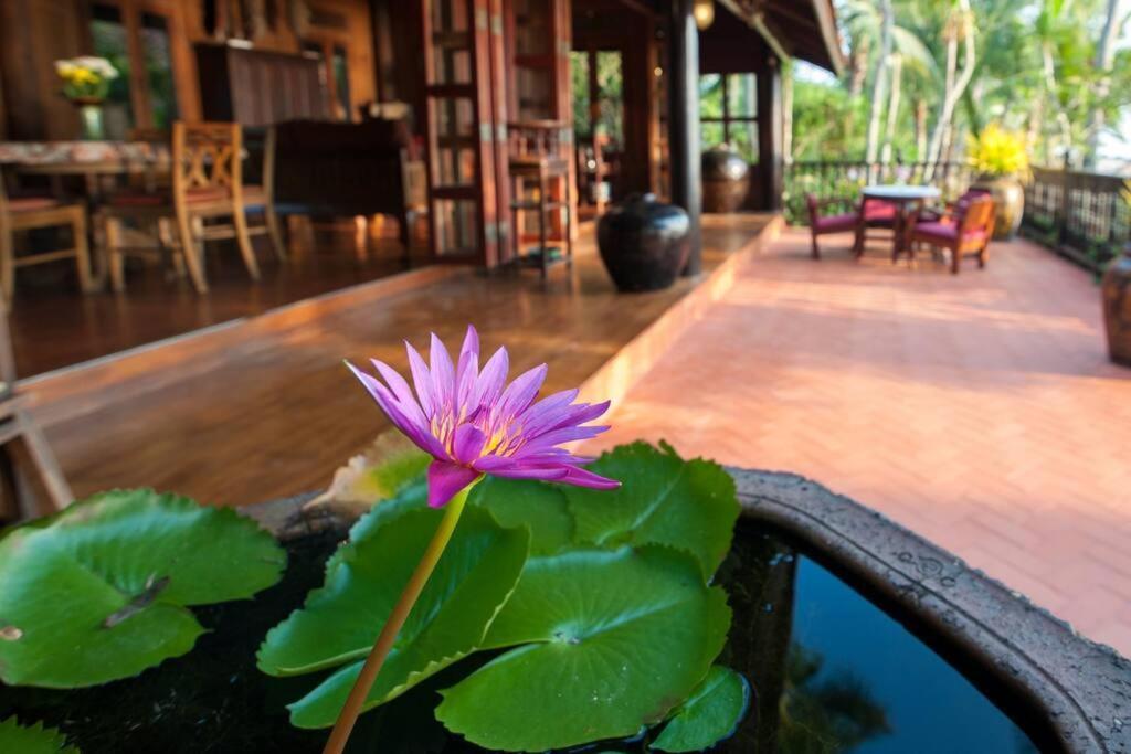 Five Islands Beach House Samui Amphoe Koksamui Esterno foto